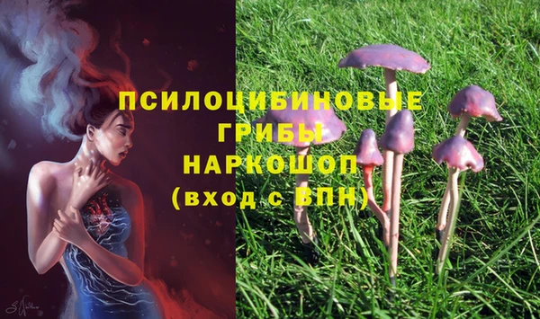 кокаин премиум Алексеевка
