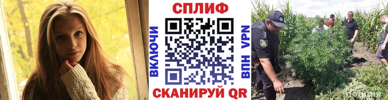 Каннабис OG Kush  даркнет какой сайт  Глазов 